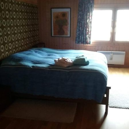 Walser Chalet Casa Paterna 디센티스 외부 사진