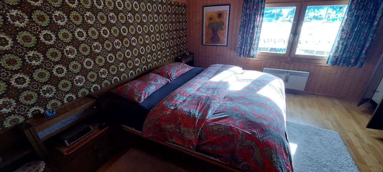 Walser Chalet Casa Paterna 디센티스 외부 사진